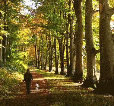 <p>Nos plus belles randonnées</p>