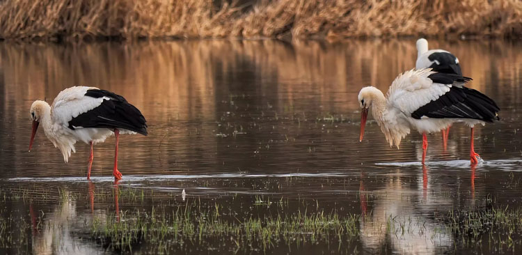Les points d’eau en libre accès