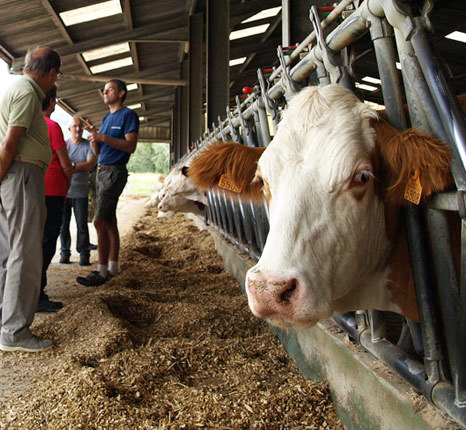 Les 13 expériences à vivre