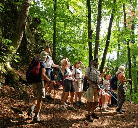 Randonnées accompagnées